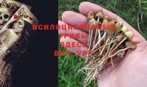 спайс Балахна