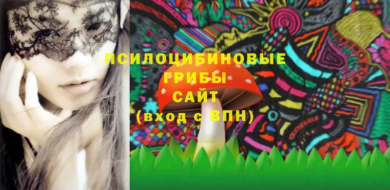 Галлюциногенные грибы Magic Shrooms  Бор 