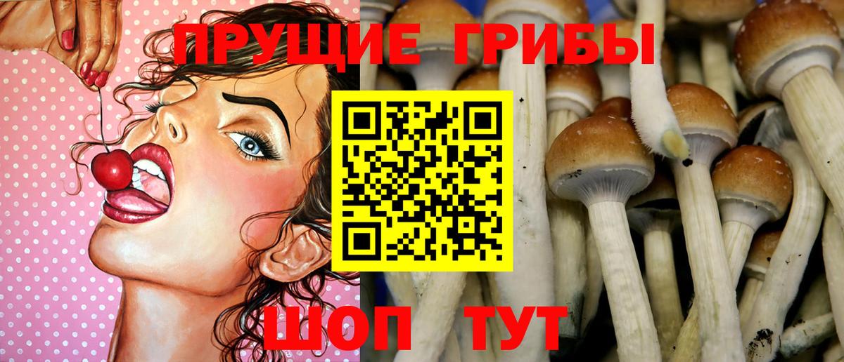 Псилоцибиновые грибы мицелий  Вход с VPN  Бор 