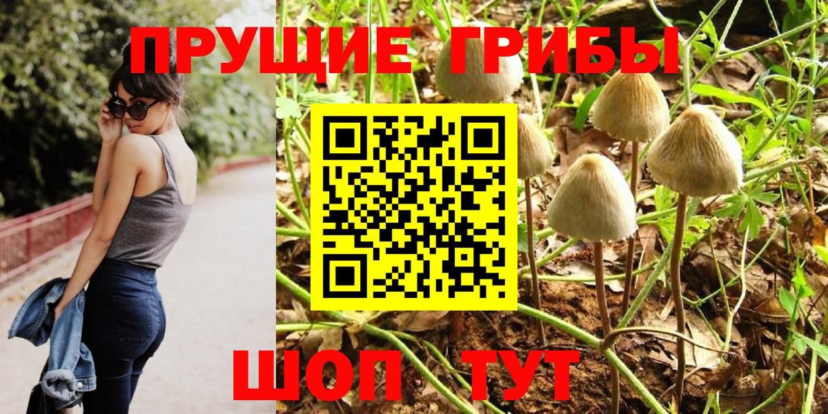 Псилоцибиновые грибы Psilocybine cubensis  Бор 